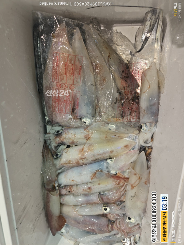 20261020_031920_제목-진해블루마린낚시_글꼴-예약전화 010 8924 3131.jpg