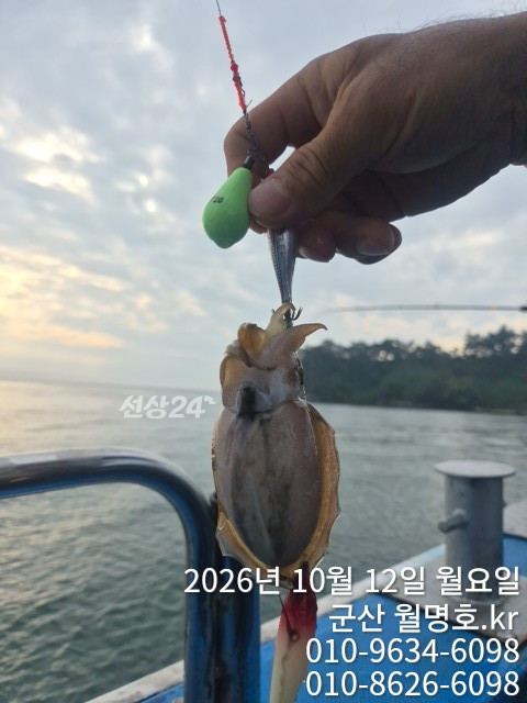 19015.jpg