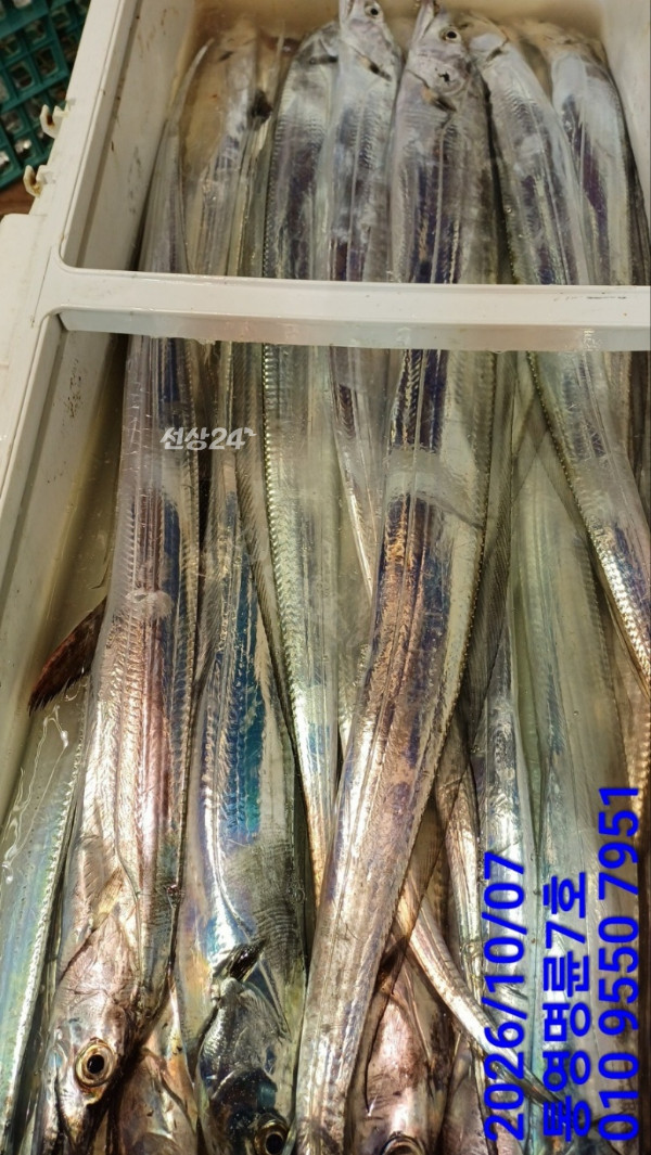 KakaoTalk_20261007_044700161_16.jpg