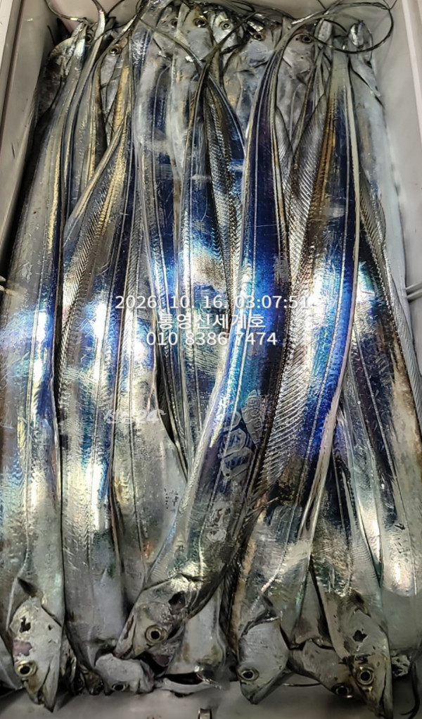 1792100925269.jpg