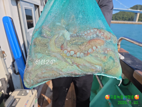 쎄븐피싱클럽(선상 버스출조전문)_사진_20260930_5.jpg