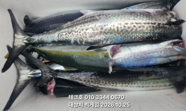 KakaoTalk_20261026_153607606_06.jpg