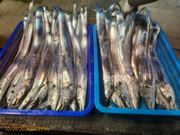 KakaoTalk_20261011_174542372_09.jpg