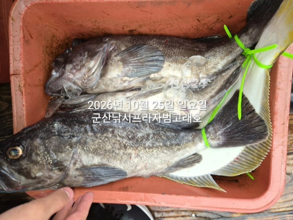 KakaoTalk_20261025_175508608_15.jpg