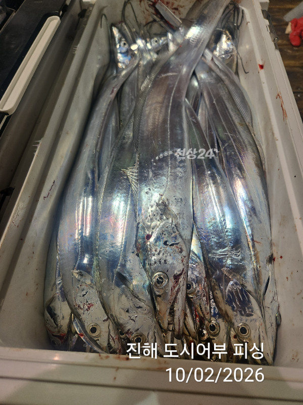 KakaoTalk_20261002_051645074_16.jpg