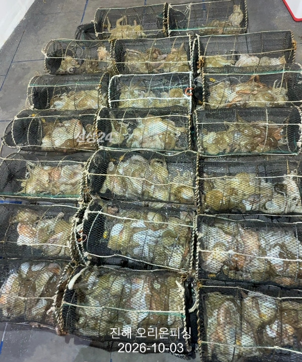 KakaoTalk_20261004_091838045_19.jpg