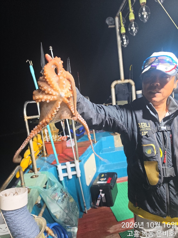 고흥 녹동 은비호!(두족류,돌돔,외수질)_사진_20261017_6.jpg