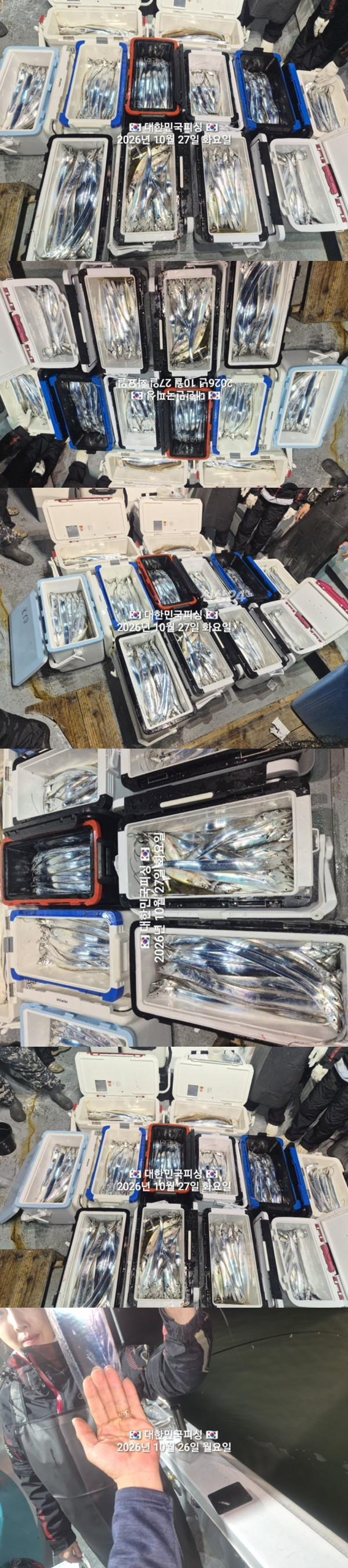 갈치3.jpg