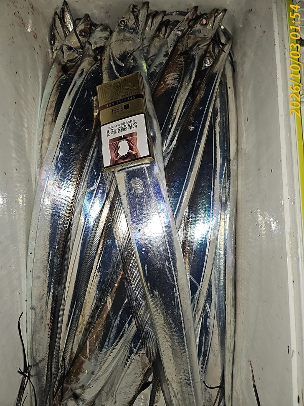 1000035896.jpg