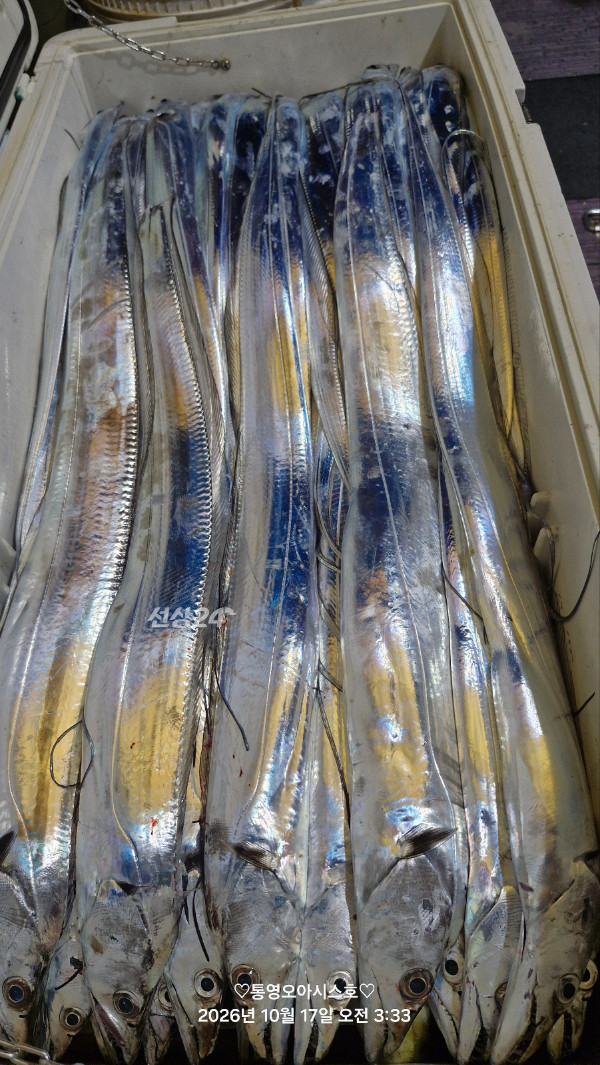 84552.jpg