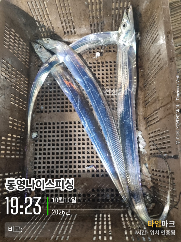 20261010_192354_글꼴-통영나이스피싱.jpg