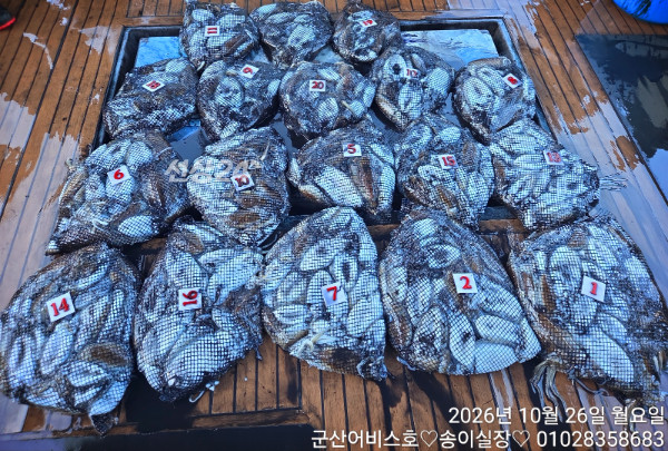 1000032356.jpg