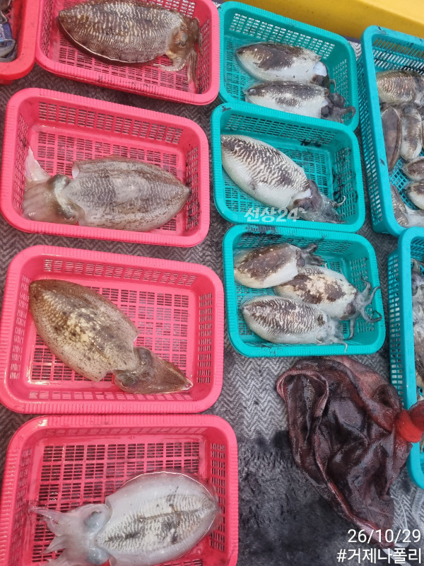 KakaoTalk_20261029_181000287.jpg