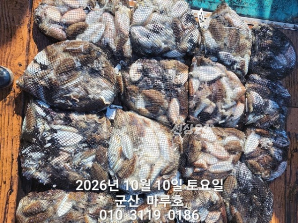 1000015057.jpg