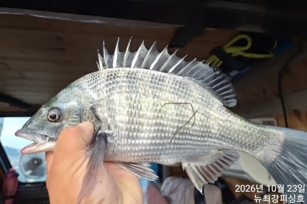 1000051847.jpg