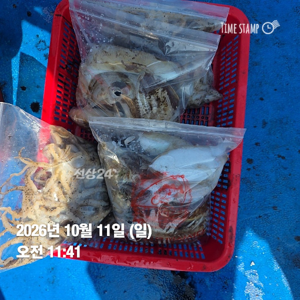 KakaoTalk_20261011_172621376_06.jpg