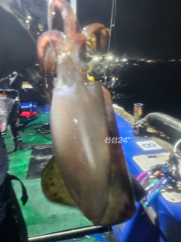 KakaoTalk_20261003_133524860_22.jpg