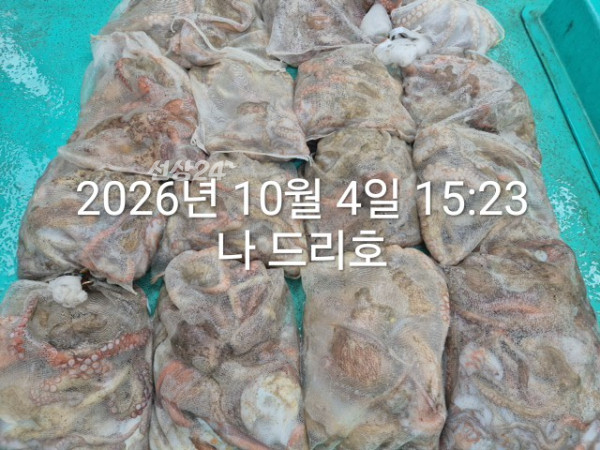 KakaoTalk_20261004_160131464_04.jpg