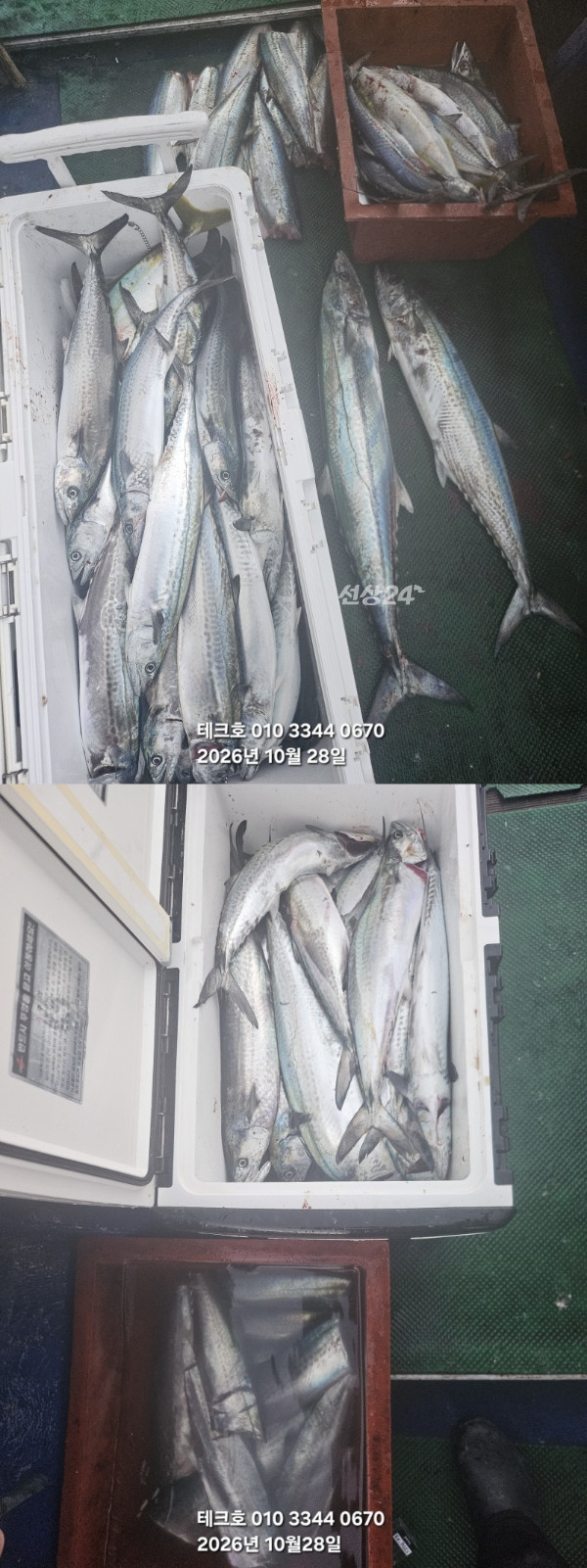KakaoTalk_20261028_175035826-vert.jpg