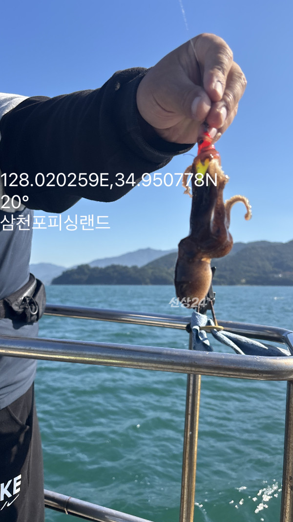 IMG_6256.jpeg