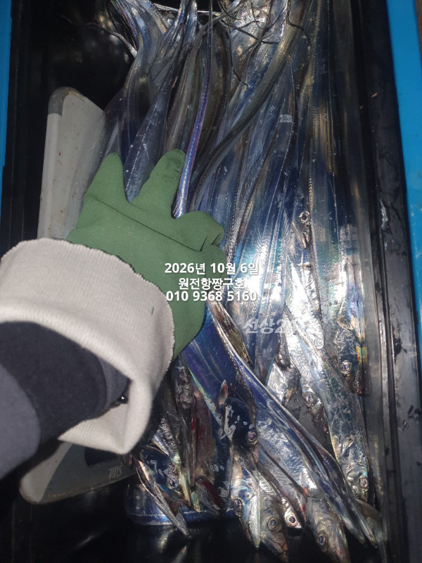 KakaoTalk_20261006_045621155_12.jpg