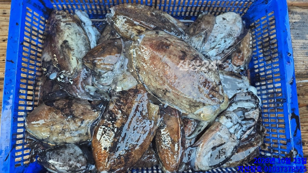 1858.jpg