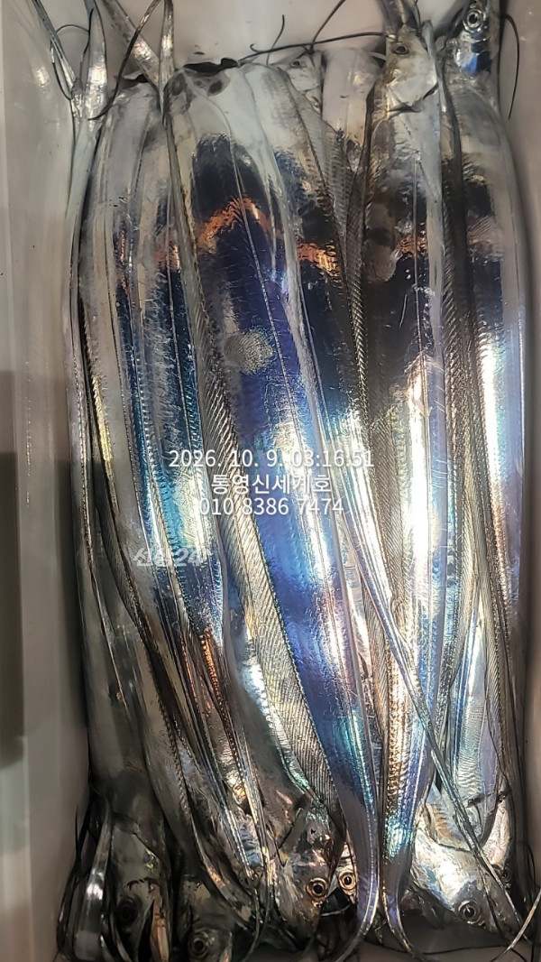 1791493902945.jpg