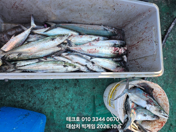KakaoTalk_20261005_182132274_09.jpg