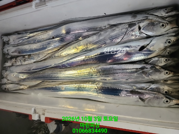 KakaoTalk_20261003_062103636_10.jpg
