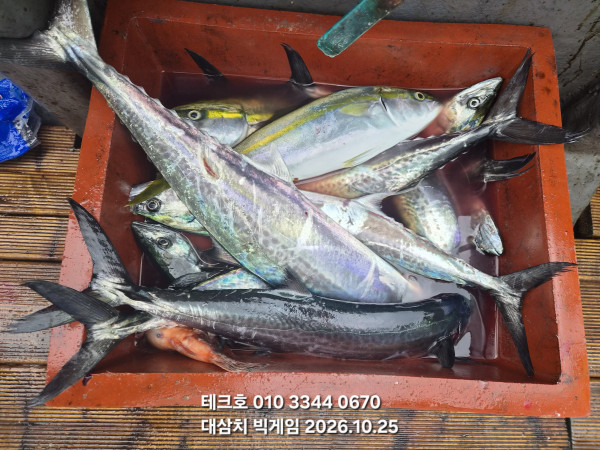 KakaoTalk_20261026_153607606_01.jpg