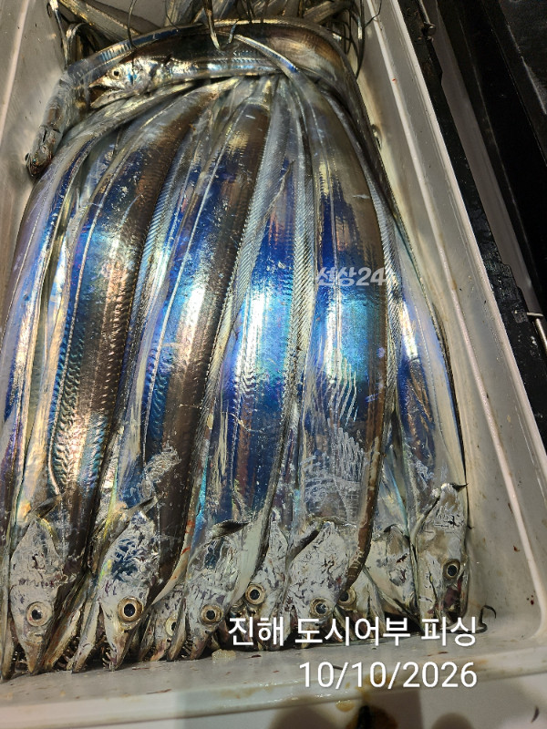 KakaoTalk_20261010_043600356_17.jpg