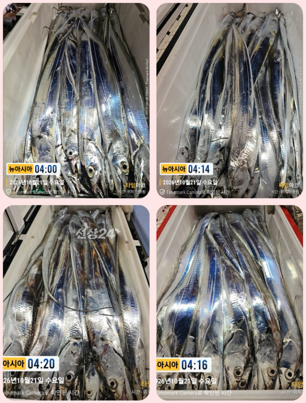 KakaoTalk_20261021_125458834_17-tile.jpg