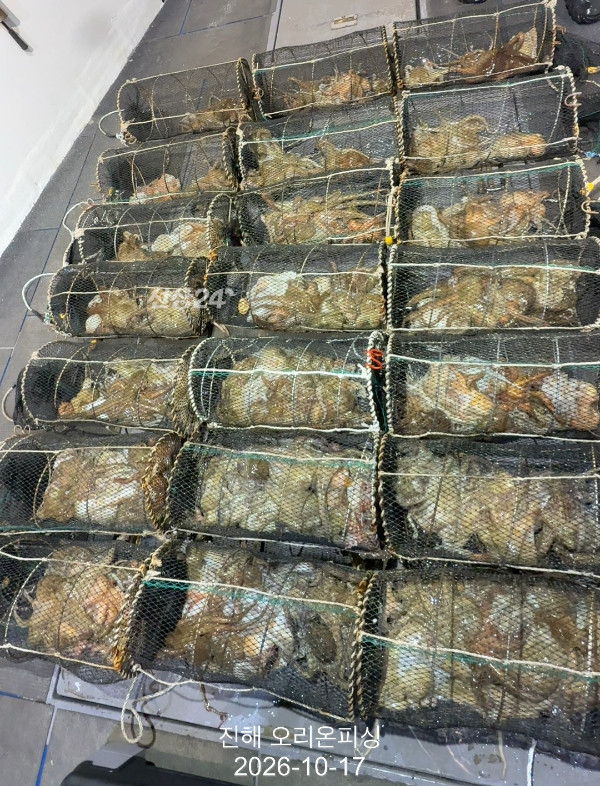 KakaoTalk_20261017_111259593_16.jpg