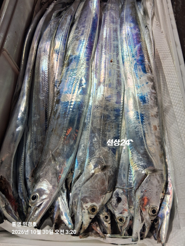 CEFA2379-373B-494C-A211-CA98DE3C6250.jpeg