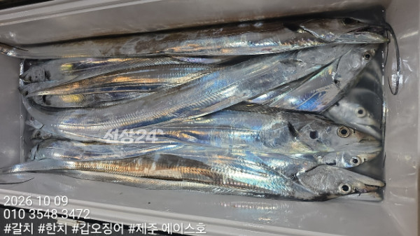 KakaoTalk_20261009_121551345_14.jpg