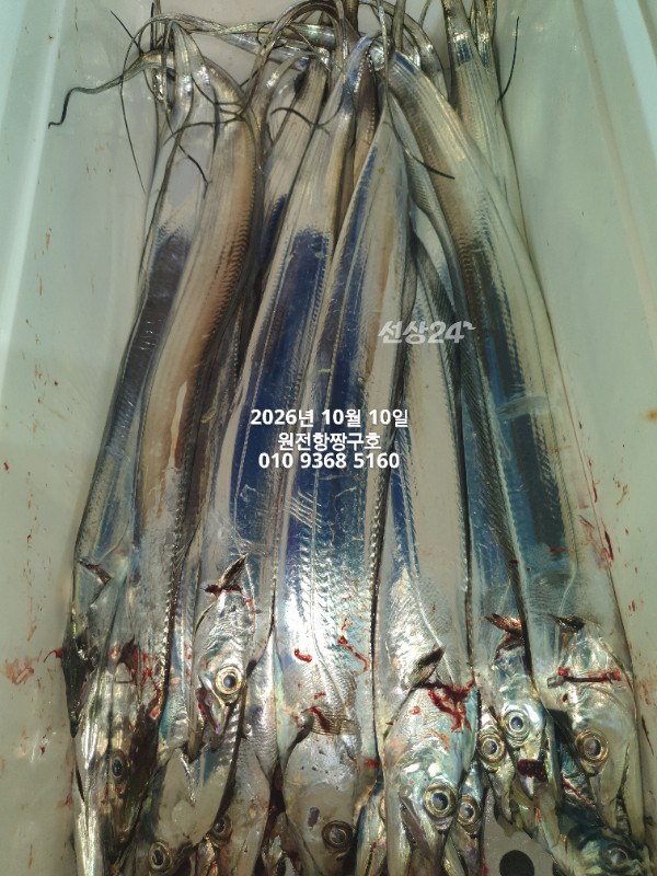 KakaoTalk_20261010_060125117_12.jpg
