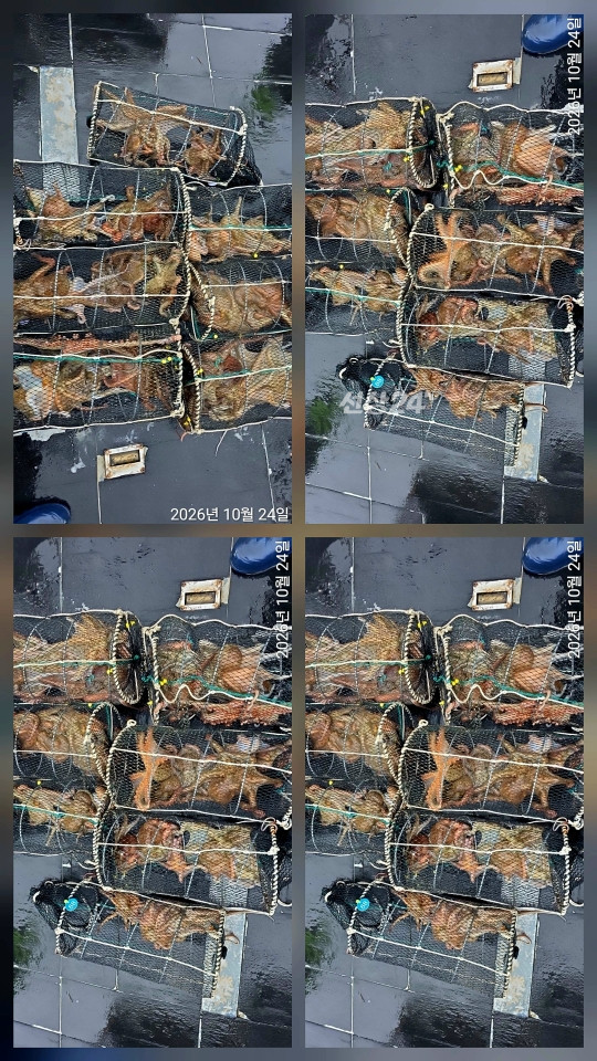1000162327.jpg