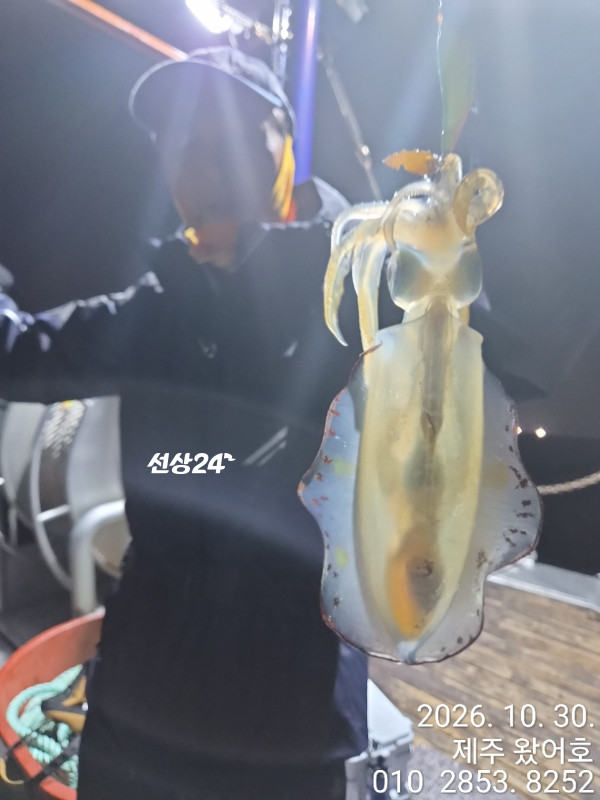 제주왔어호_사진_20261031_28.jpg