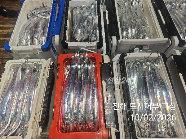 KakaoTalk_20261002_051645074_15.jpg