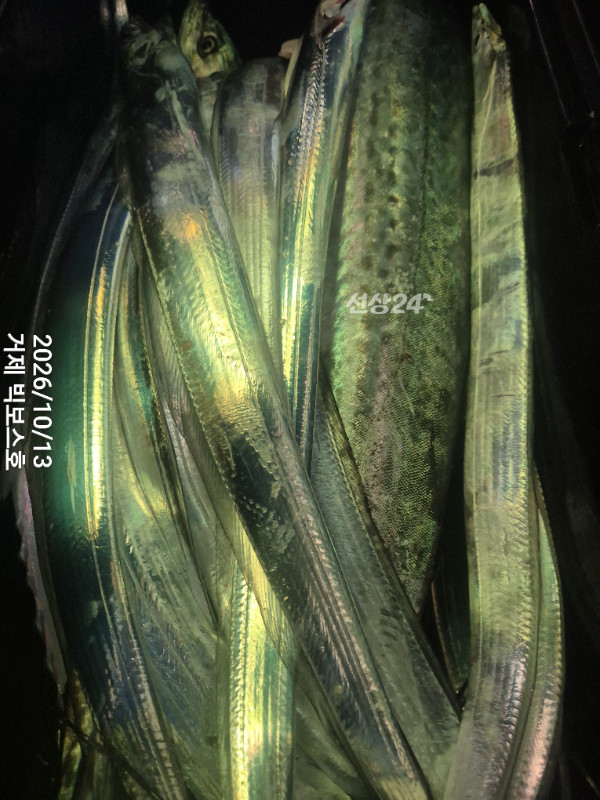 1000048817.jpg