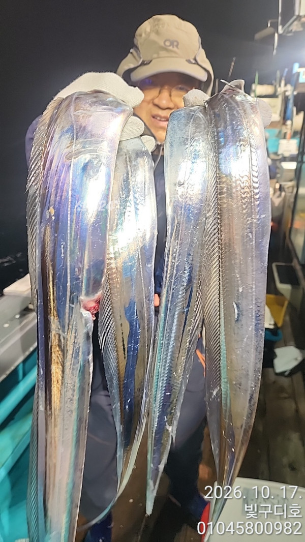 12885.jpg