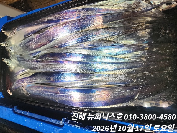 1000101443.jpg