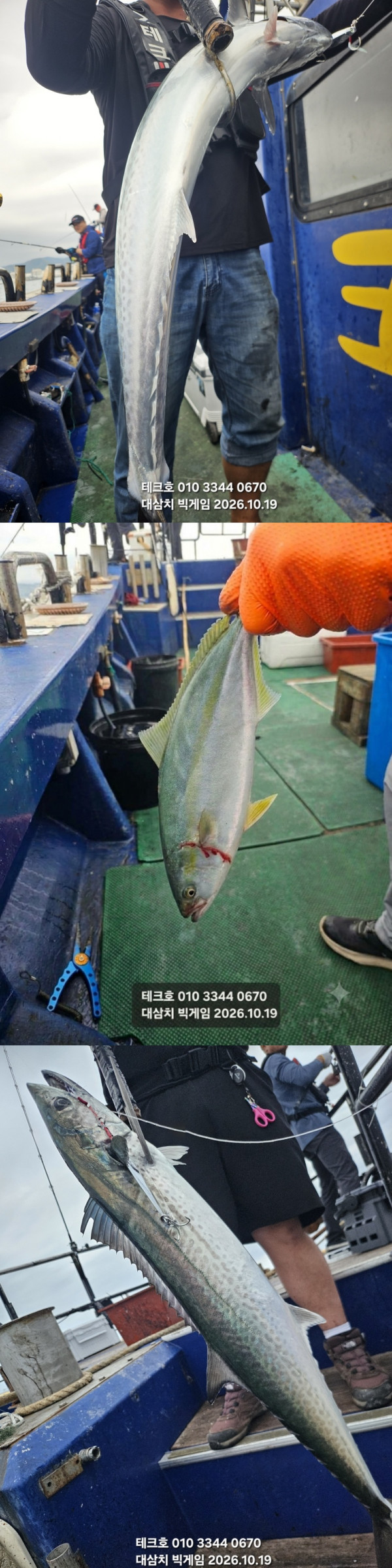 KakaoTalk_20261019_170931659_13-vert.jpg