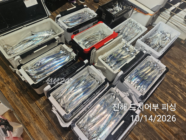 KakaoTalk_20261014_043827989_14.jpg