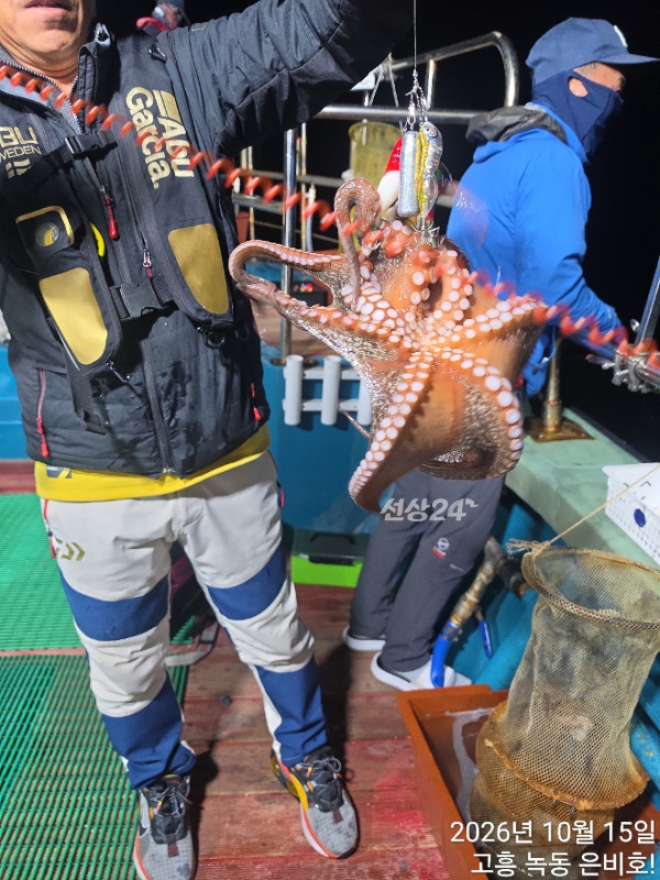 고흥 녹동 은비호!(두족류,돌돔,외수질)_사진_20261017_5.jpg