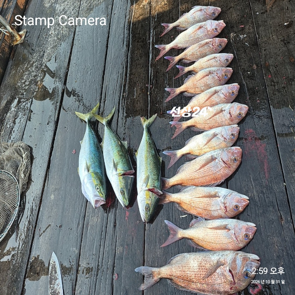 StampCamera20261031145946.jpg
