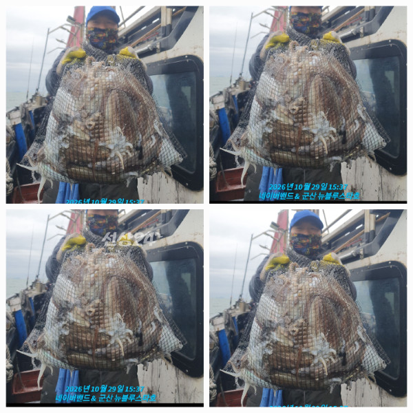 20261029_174328.jpg