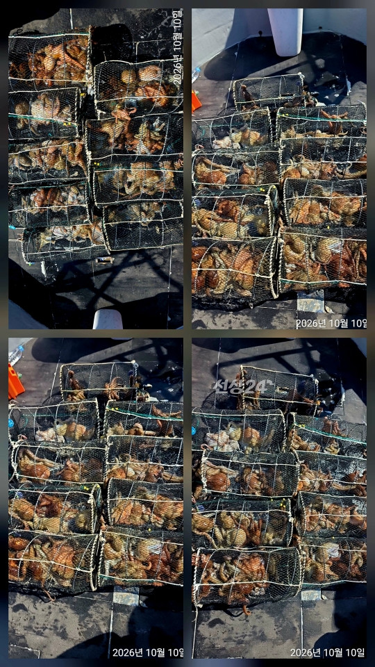 1000161019.jpg