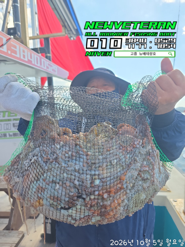 64547.jpg