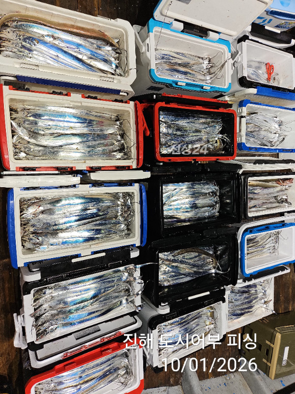 KakaoTalk_20261001_064438979_12.jpg